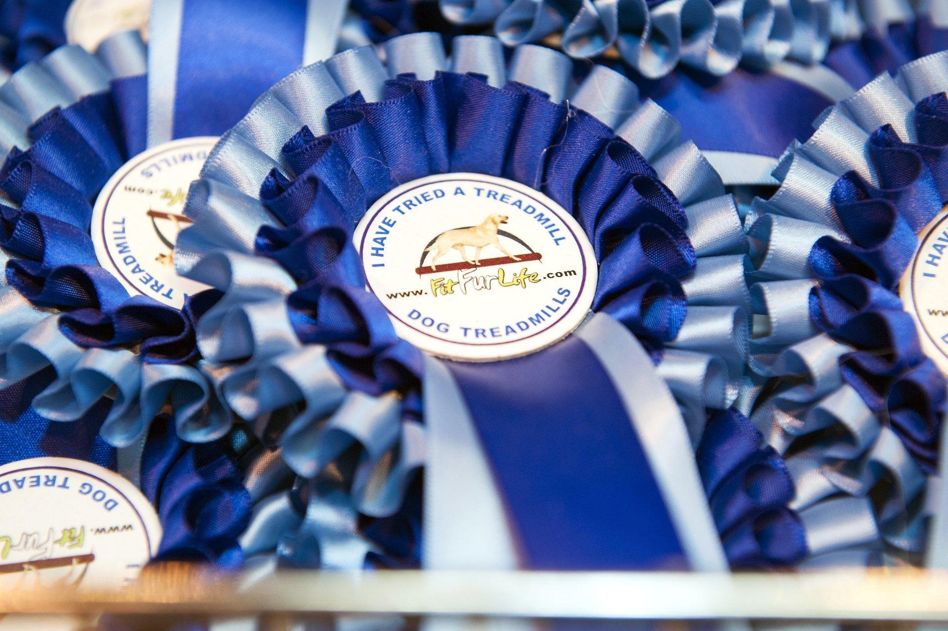 Fit Fur Life dog treadmill gallery image 5