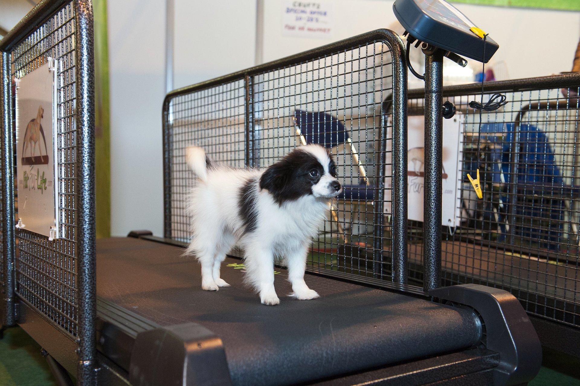 Incline and Decline Feature