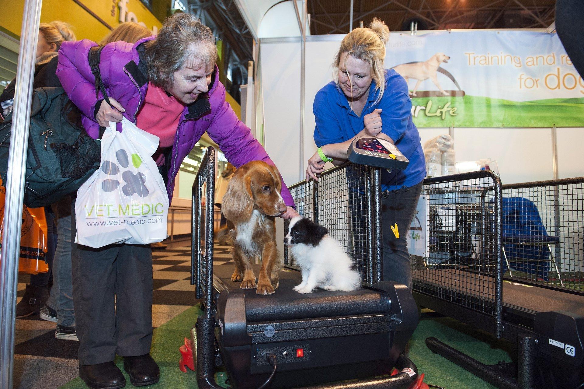 All Breeds, All Sizes