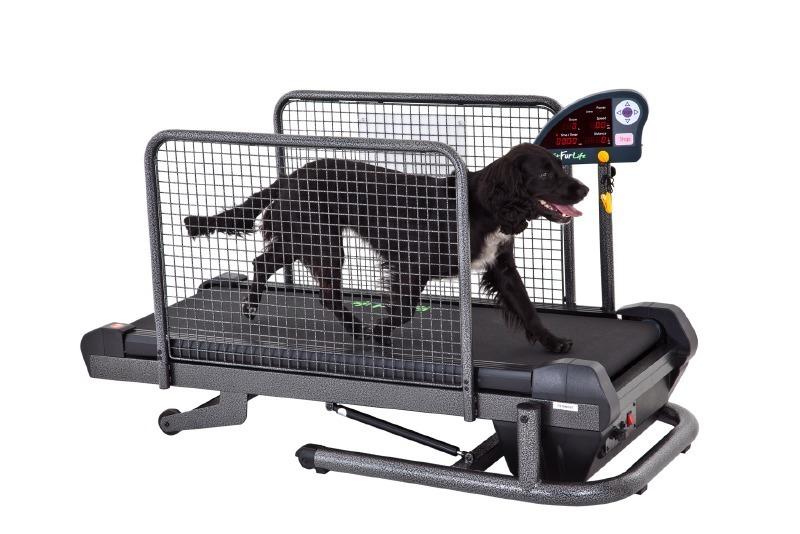 Small Fit Fur Life Treadmill